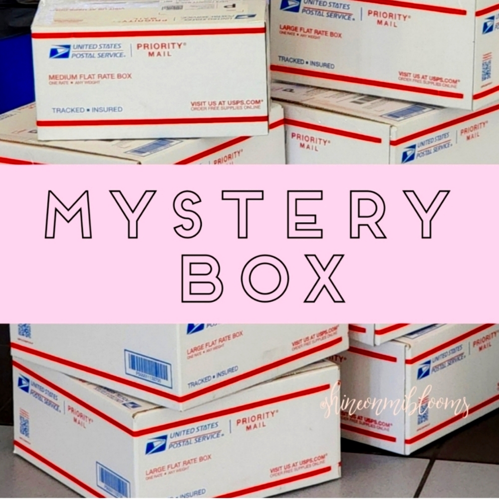 Women's Mystery Box 3-4pc